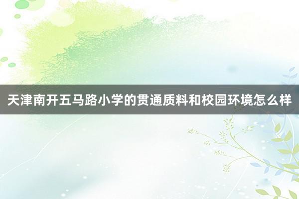 天津南开五马路小学的贯通质料和校园环境怎么样