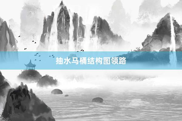 抽水马桶结构图领路
