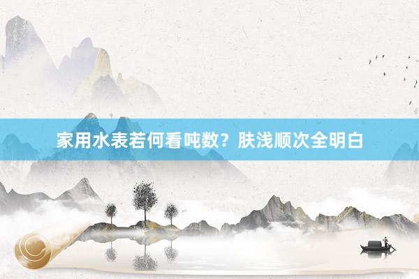 家用水表若何看吨数？肤浅顺次全明白