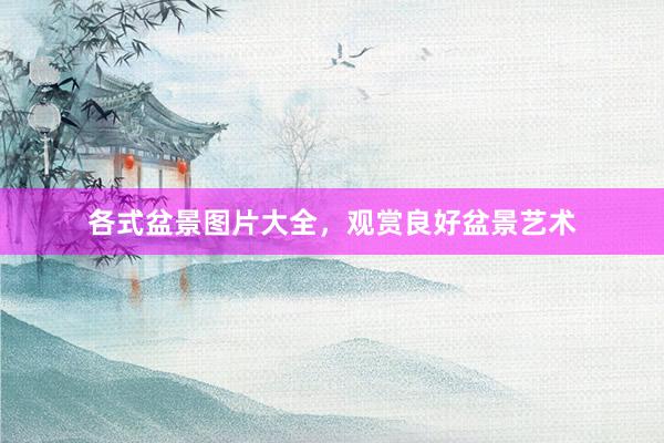 各式盆景图片大全，观赏良好盆景艺术
